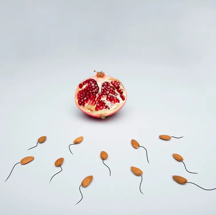 Why see a fertility dietitian?